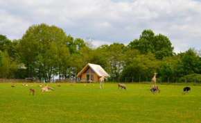 Отель Les Lodges Du Reynou  Ле Вижан